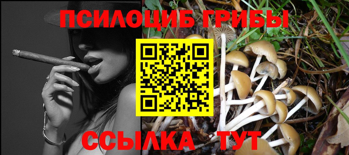 Галлюциногенные грибы Magic Shrooms Биробиджан
